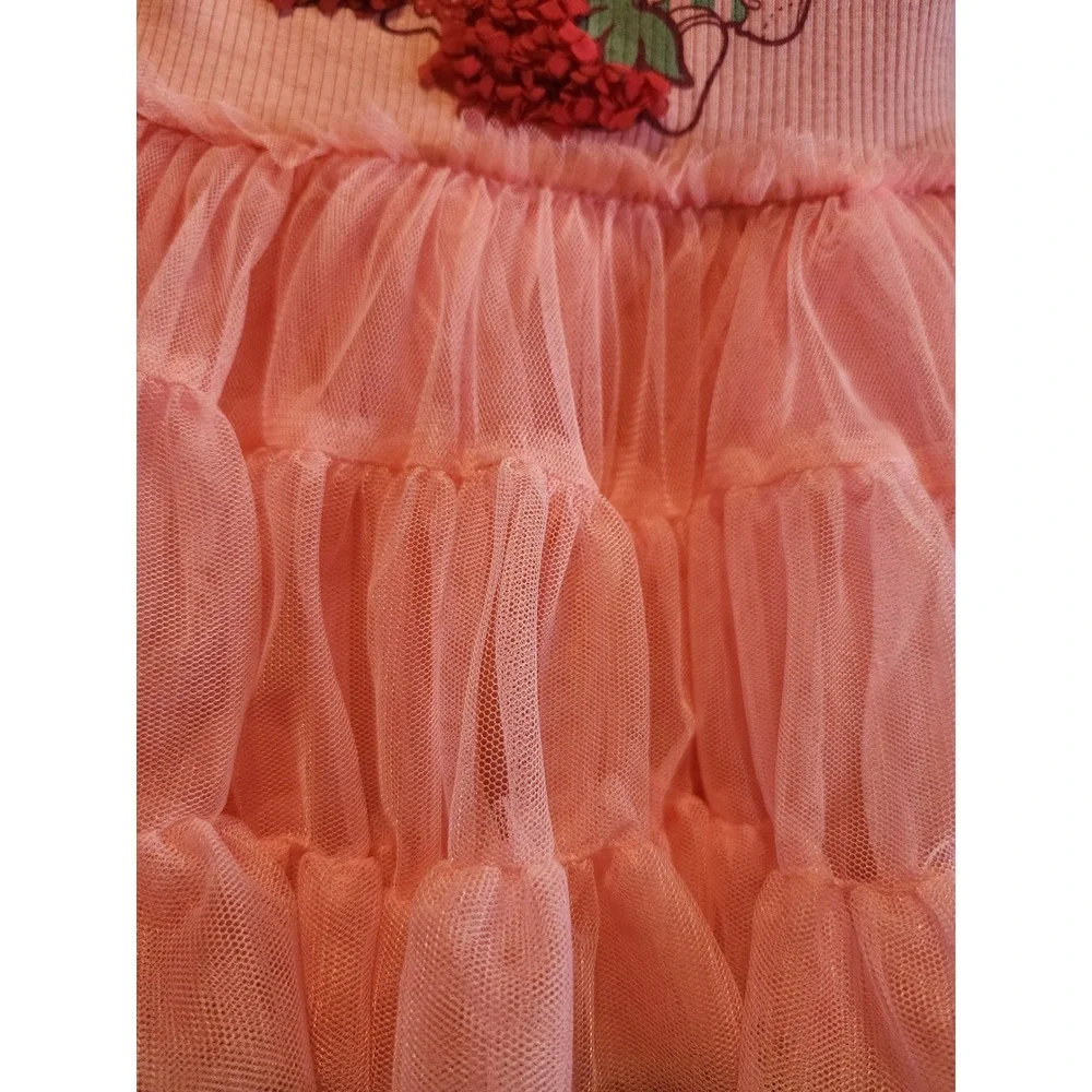 Strawberry Shortcake Baby Girls Pink Tutu Dress 3D Strawberries 12M NWT